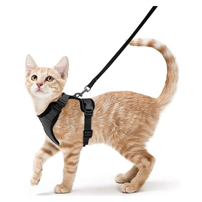 Escape-Proof Cat Harness & Leash Set — Soft Adjustable Vest for Easy Control