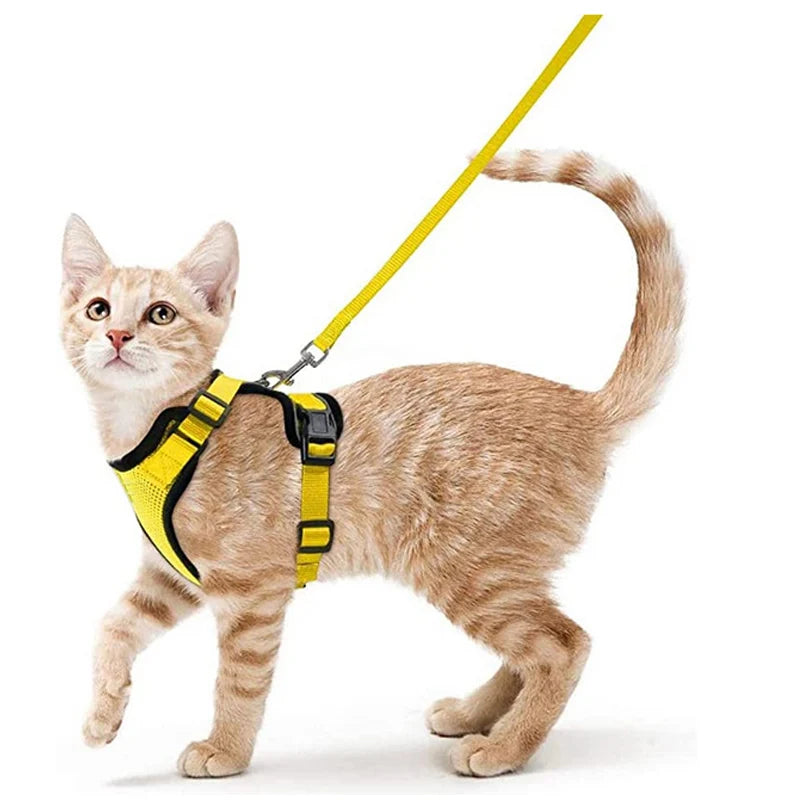 Escape-Proof Cat Harness & Leash Set — Soft Adjustable Vest for Easy Control