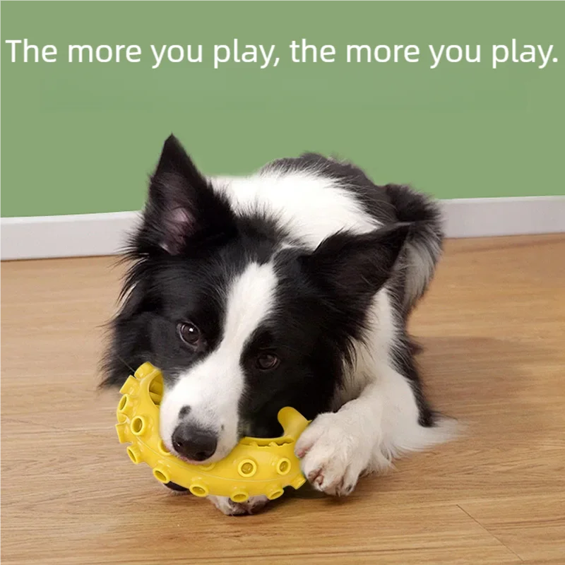 TPR Dog Chew Toy — Bite-Resistant Teeth Cleaning Toy for Small & Medium Dogs