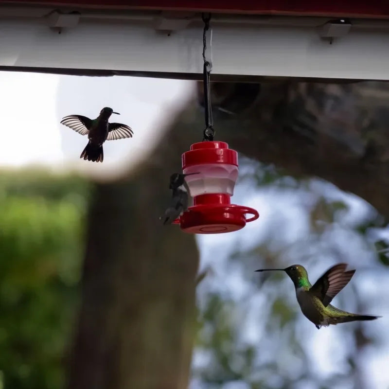 Hummingbird Feeder — Metal Tray Feeder with 8 Feeding Ports for Outdoor Gardens