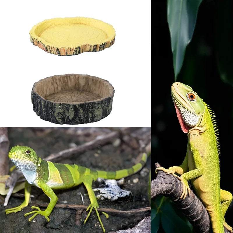 Resin Reptile Feeder Bowl — Rock-Style Food & Water Dish for Turtles & Lizards