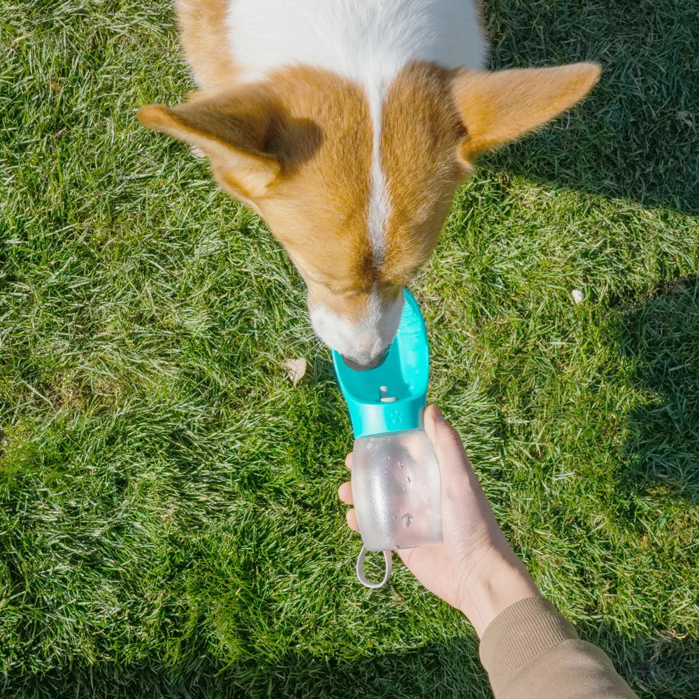 Portable Pet Water Bottle — 300ML Travel Drinking Bowl for Dogs & Cats